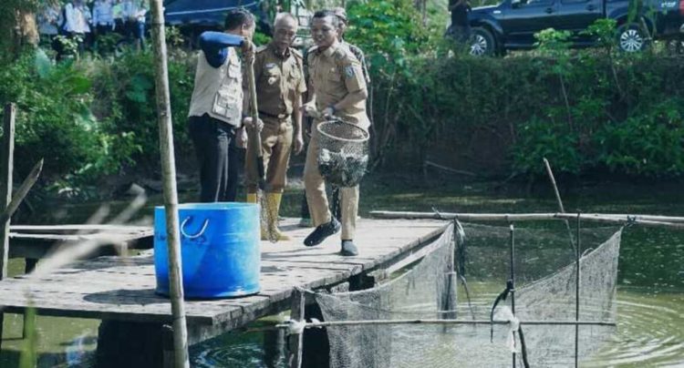Bupati Pringsewu Apresiasi Panen Ikan Nila, Dorong Inovasi dan Ketahanan Usaha Budidaya