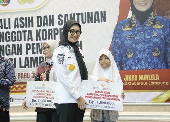 Wagub Jihan Nurlela Serahkan Tali Asih dan Santunan sebagai Bentuk Apresiasi kepada Anggota Korpri Purna Bakti