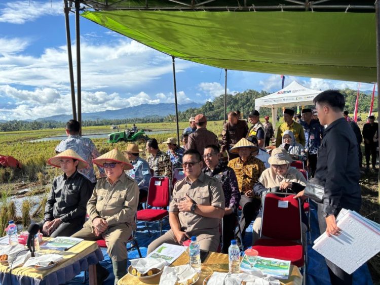 Pemkab Tanggamus Gelar Panen Raya Padi Serentak, Dukung Swasembada Pangan Nasional