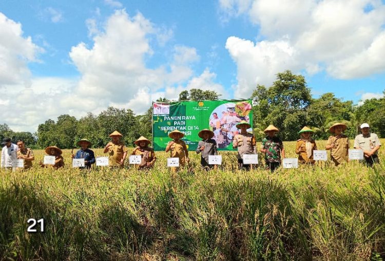 Bupati & Wabup Pringsewu Pimpin Panen Raya Padi Serentak: Wujud Nyata Swasembada Pangan