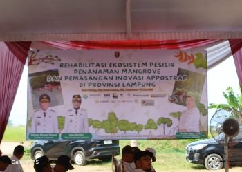 Ketua HNSI Apresiasi Gubernur Lampung: Gerakan Tanam Mangrove Bukti Kepedulian Nyata terhadap Pesisir