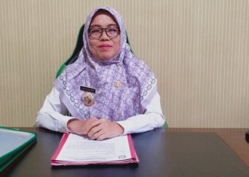 Eko Sumarmi Tegaskan: Status BTS di Web BKN Bukan Masalah, Hanya Belum Diverifikasi