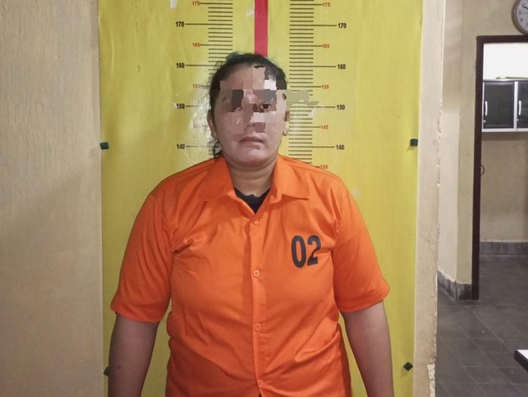 Ibu Rumah Tangga Di Tangkap Polisi, Terlibat Kasus Penipuan dan Penggelapan