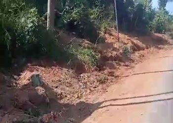LK 21 Dukung Langkah Dinas BMBK Hentikan Sementara Pembangunan Kabel Bawah Tanah PLN di Pesawaran