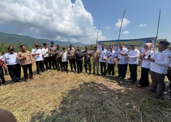 Hijaukan Pesisir, Pemkab Tanggamus Gelar Penanaman Mangrove di Pematang Sawa: Wakil Bupati Agus Suranto Turun Langsung