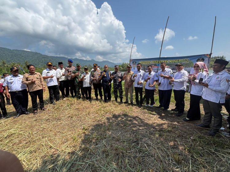 Hijaukan Pesisir, Pemkab Tanggamus Gelar Penanaman Mangrove di Pematang Sawa: Wakil Bupati Agus Suranto Turun Langsung