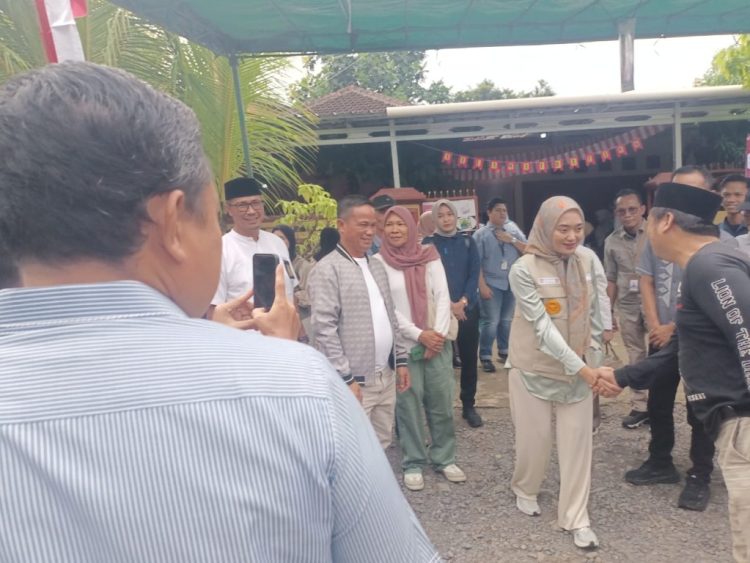 Wagub Lampung Jihan Nurlela Tinjau PSU Pesawaran, Animo Pemilih Dilaporkan Sangat Tinggi