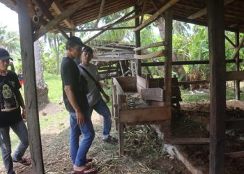 Aksi Kejar-kejaran Polisi dan Pencuri Sapi di Lampung Selatan: Satu Ekor Sapi Berhasil Diselamatkan