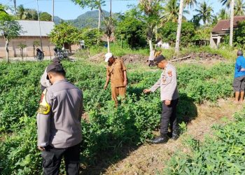 Polsek Padang Cermin Pacu Ketahanan Pangan Lewat Lomba Perkarangan Bergizi