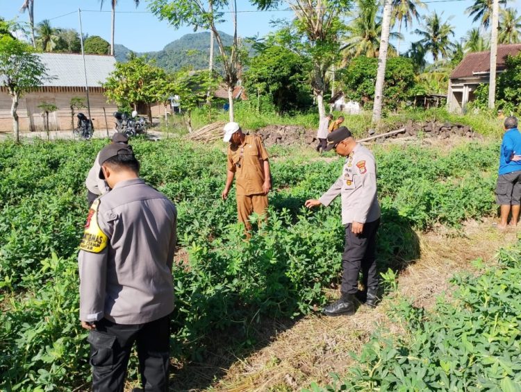 Polsek Padang Cermin Pacu Ketahanan Pangan Lewat Lomba Perkarangan Bergizi