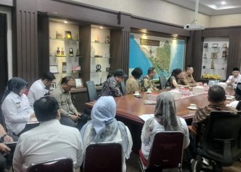 Investor Tiongkok Lirik Lampung: Siap Gelar Kerja Sama Strategis Energi, Pangan, dan Pelabuhan