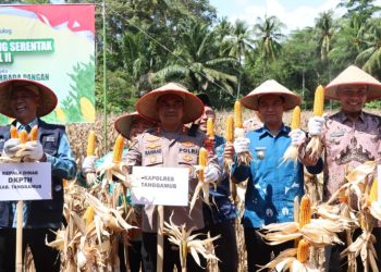 Wabup Tanggamus Hadiri Panen Raya Jagung & Groundbreaking Gudang, Dukung Ketahanan Pangan Nasional