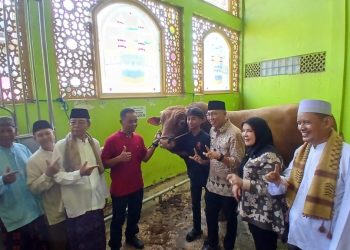 Presiden RI Salurkan Sapi Qurban, Gubernur Lampung Serahkan ke Masjid di Panjang Utara