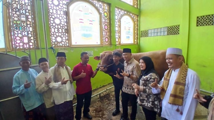 Presiden RI Salurkan Sapi Qurban, Gubernur Lampung Serahkan ke Masjid di Panjang Utara