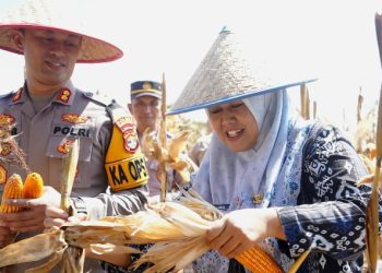 Langkah Awal Menuju Birokrasi Tangguh: Bupati Pringsewu Lantik 38 Pejabat Baru