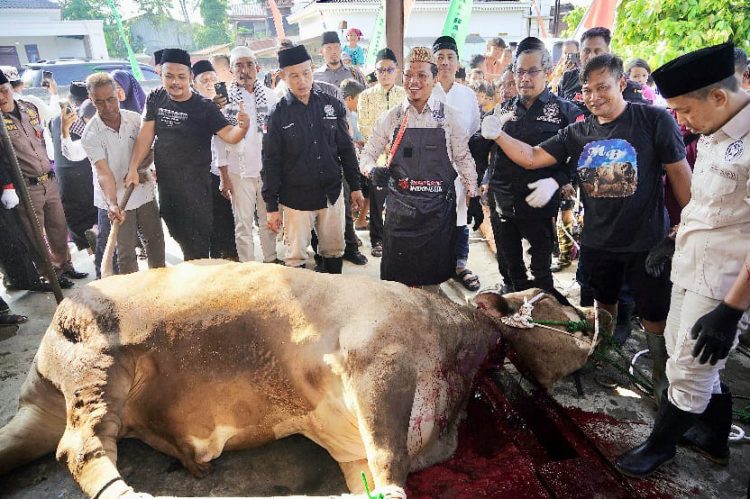 Bupati Pringsewu Jadi Imam Salat Ied dan Penyembelih Hewan Kurban, Wujud Teladan di Hari Raya