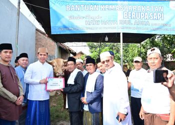 Kehangatan Iduladha di Fajar Baru: Sapi Kurban Presiden Prabowo Diserahkan Langsung oleh Bupati Egi