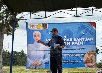 198 Ton Benih Padi Disalurkan, Putri Zulkifli Hasan Dorong Kesejahteraan Petani Tanggamus