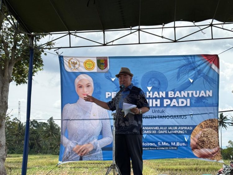 198 Ton Benih Padi Disalurkan, Putri Zulkifli Hasan Dorong Kesejahteraan Petani Tanggamus