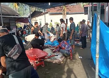 Antusias Tinggi, Warga Pekon Srikuncoro Sembelih 46 Hewan Kurban dan Salurkan ke 650 KK