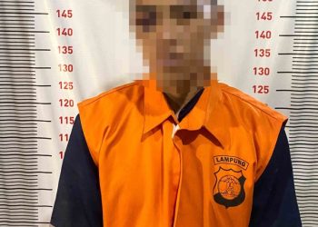 Polisi Tangkap Pelaku Curat di Ketapang, Barang Bukti HP dan Motor Diamankan