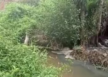 PWRI Lampung Utara Desak Penindakan Tegas terhadap Pabrik Perusak Lingkungan