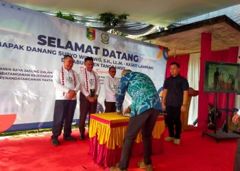 Panen Jagung, Tanam Integritas: Tanggamus Gaungkan Ketahanan Pangan dan Transparansi Dana Desa