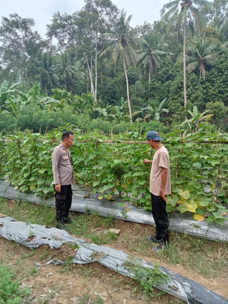 Bhabinkamtibmas Polres Pesawaran Aktif Kawal Ketahanan Pangan, Dampingi Warga Kelola Pekarangan dan Ternak