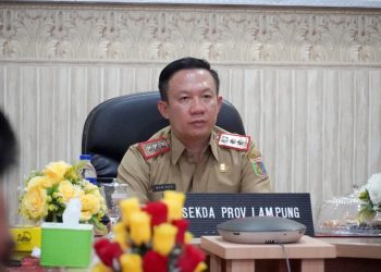 Pemerintah Pusat Dorong Percepatan Program 3 Juta Rumah, Layanan Kesehatan Gratis, dan Pengendalian Inflasi Daerah