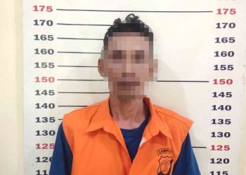 Sapi Metal Dicuri di Subuh Buta, Tekab 308 Kalianda Tangkap Pelaku Kurang dari 7 Jam