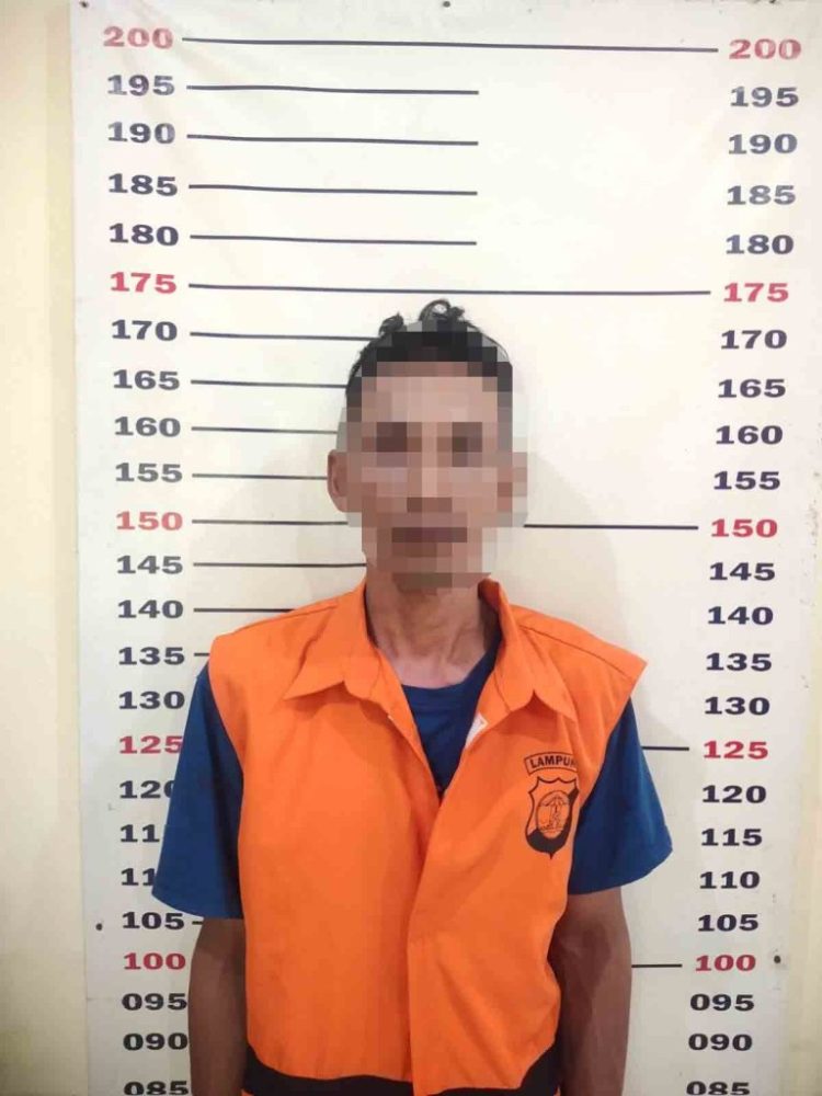 Sapi Metal Dicuri di Subuh Buta, Tekab 308 Kalianda Tangkap Pelaku Kurang dari 7 Jam