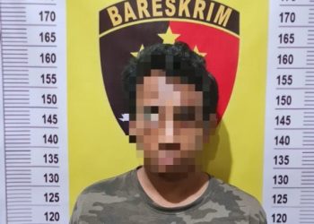 Tekab 308 Polsek Tegineneng Bekuk Pelaku Penggelapan Motor dan Kotak Handphone