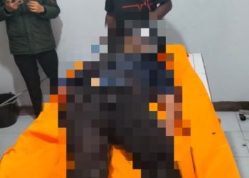 Satgas Ops Damai Cartenz Selidiki Pembunuhan Brutal Pegawai Honorer di Yahukimo, Diduga Ulah KKB