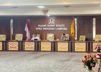 HIPMI Dukung Raperda Insentif Investasi Pemprov Lampung, Dorong Iklim Usaha Ramah UMKM dan Wirausaha Muda