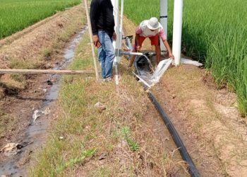 Petani Bumiratu Tak Lagi Takut Kemarau, Pemerintah Desa Hadirkan Solusi Lewat Sumur Bor