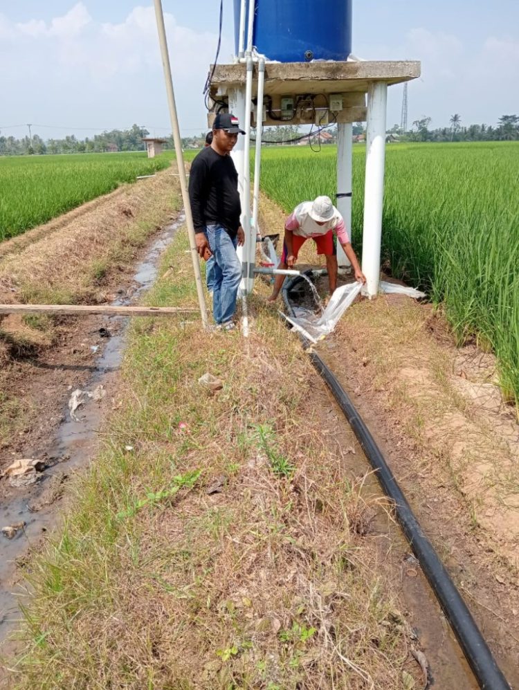 Petani Bumiratu Tak Lagi Takut Kemarau, Pemerintah Desa Hadirkan Solusi Lewat Sumur Bor