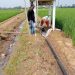 Petani Bumiratu Tak Lagi Takut Kemarau, Pemerintah Desa Hadirkan Solusi Lewat Sumur Bor