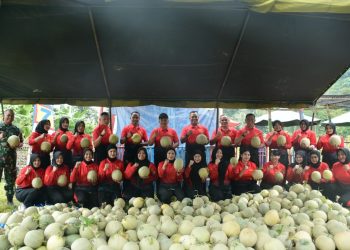 Danbrigif 4 Marinir/BS dan Ketua Cabang 7 PG Kormar Panen Melon: Dari Ladang Ketahanan Pangan untuk Nutrisi dan Inspirasi