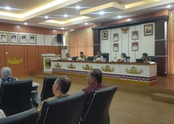 Pemkab Tanggamus Targetkan Penurunan Stunting 10% di Tahun 2025, Komit Bangun Generasi Sehat