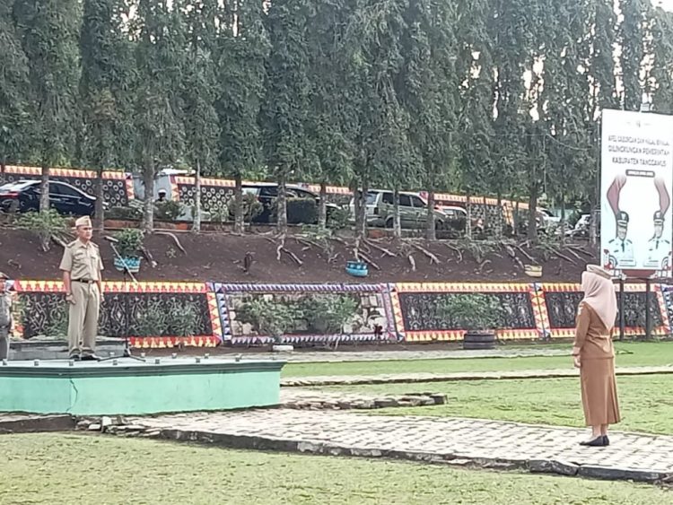 SPBE Tanggamus Masuk 30 Besar Nasional, Bupati Tekankan Aksi Nyata Layanan Publik