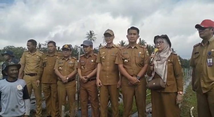 Tekan Inflasi, Dorong Ekonomi Petani: Pemkab Tanggamus Gulirkan GERTAK MATA BABE di Sumberejo