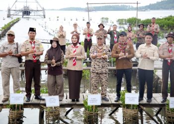Tanam 1.000 Mangrove di Pesawaran, Pemprov Lampung Gandeng Pramuka Rawat Bumi