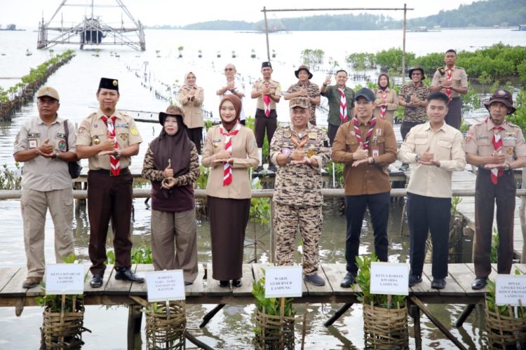 Tanam 1.000 Mangrove di Pesawaran, Pemprov Lampung Gandeng Pramuka Rawat Bumi