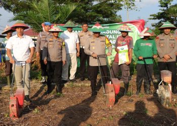 Turun ke Ladang, Polres Pesawaran Tanam Jagung Demi Ketahanan Pangan Nasional