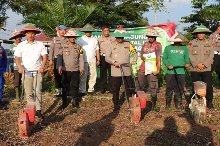 Turun ke Ladang, Polres Pesawaran Tanam Jagung Demi Ketahanan Pangan Nasional