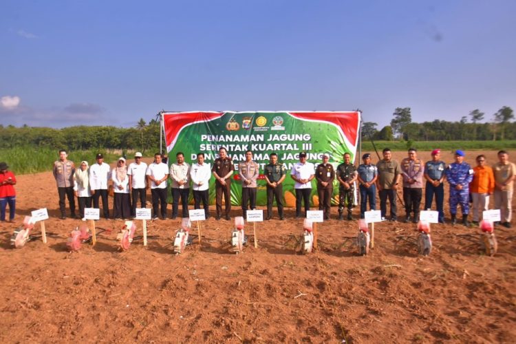 Dukung Swasembada Pangan, Polda Lampung Tanam Jagung Serentak di Lahan Perhutanan Sosial