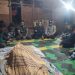 Diduga Diterkam Harimau, Seorang Petani Tewas di Lampung Barat – Polisi Imbau Warga Waspada