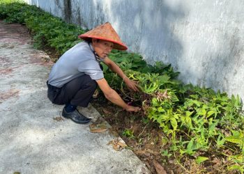 Lapas Kalianda Gencarkan Ketahanan Pangan: Dari Biji Tomat hingga Terong Siap Panen