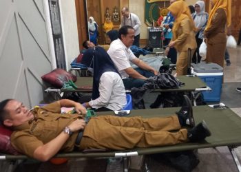 Peringati HUT ke-64, IKWI Lampung Gelar Donor Darah & Diskusi KDRT: Wujud Nyata Kepedulian Sosial