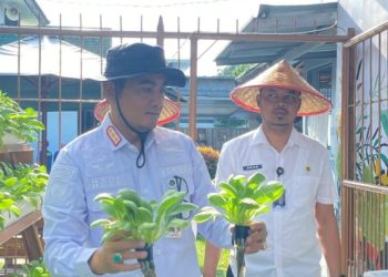 Panen Pakcoy di Lapas Kalianda, Hidroponik Jadi Wadah Pembinaan Kemandirian